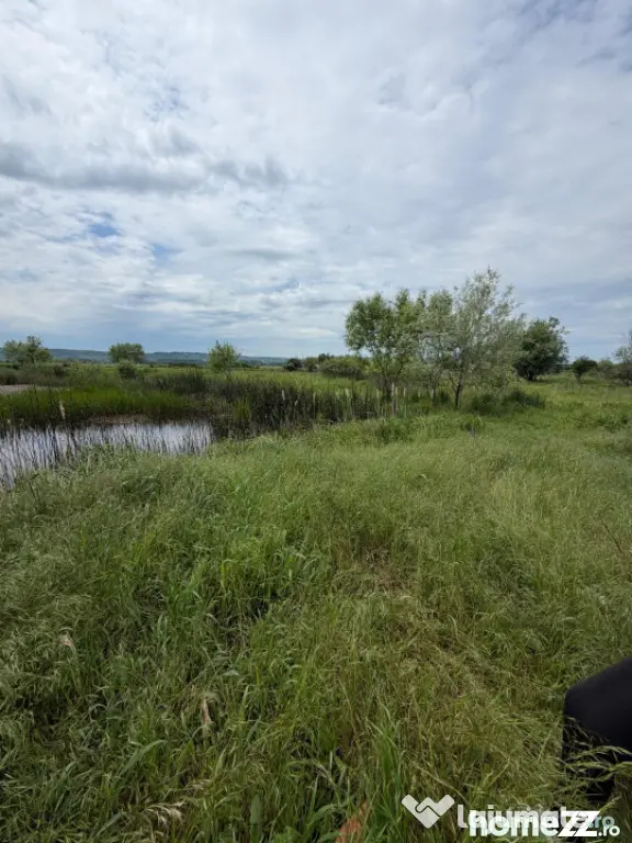 Teren de 6000 mp, vizavi de gara din Filiasi - Craiova (Dolj)