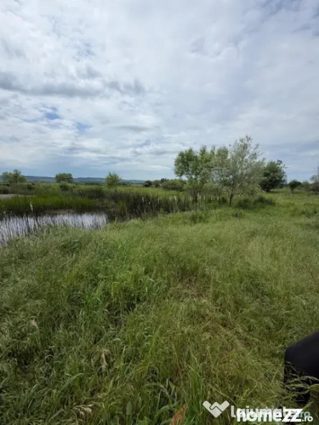 Teren de 6000 mp, vizavi de gara din Filiasi - Craiova (Dolj)