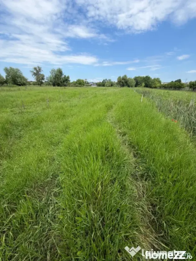 Teren de 6000 mp, vizavi de gara din Filiasi - Craiova (Dolj)