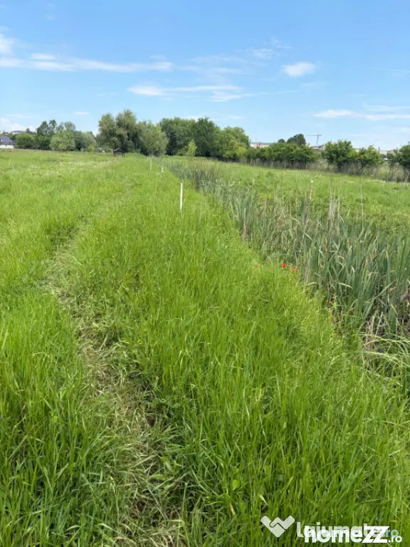 Teren de 6000 mp, vizavi de gara din Filiasi - Craiova (Dolj)
