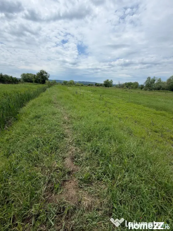 Teren de 6000 mp, vizavi de gara din Filiasi - Craiova (Dolj)