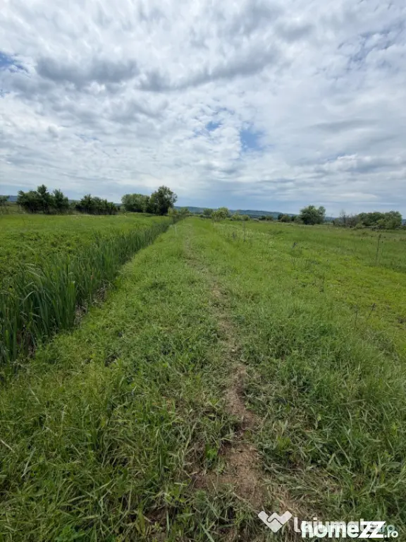 Teren de 6000 mp, vizavi de gara din Filiasi - Craiova (Dolj)
