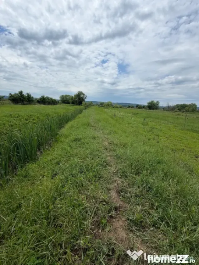 Teren de 6000 mp, vizavi de gara din Filiasi - Craiova (Dolj)