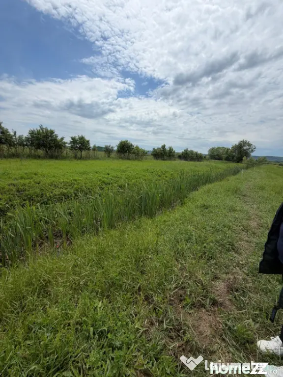 Teren de 6000 mp, vizavi de gara din Filiasi - Craiova (Dolj)