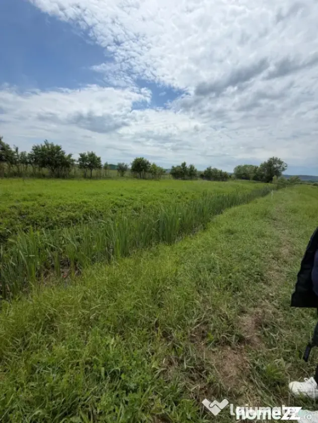 Teren de 6000 mp, vizavi de gara din Filiasi - Craiova (Dolj)