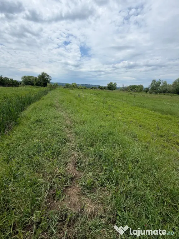 Teren de 6000mp, vizavi de gara din Filiasi cu balta cu pest