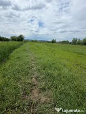 Teren de 6000mp, vizavi de gara din Filiasi cu balta cu pest