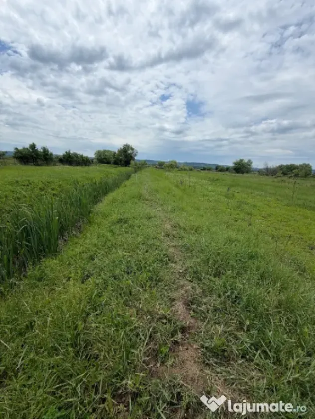 Teren de 6000mp, vizavi de gara din Filiasi cu balta cu pest