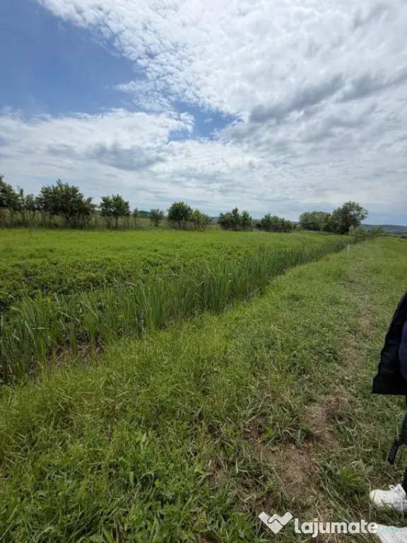 Teren de 6000mp, vizavi de gara din Filiasi cu balta cu pest