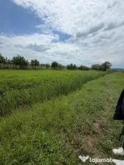 Teren de 6000mp, vizavi de gara din Filiasi cu balta cu pest