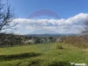 Teren de vanzare Carbunari Ultimele 2 parcele ramase! 
