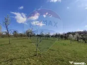 Teren de vanzare Carbunari Ultimele 2 parcele ramase! 