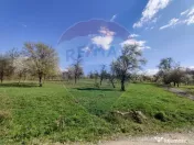 Teren de vanzare Carbunari Ultimele 2 parcele ramase!