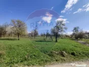 Teren de vanzare Carbunari Ultimele 2 parcele ramase! 