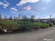 Teren de vanzare Carbunari Ultimele 2 parcele ramase!