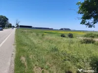 ???? Teren intravilan de vânzare – Balș / Bobicești –