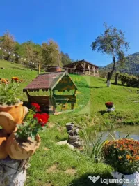 Casa de vacanta de vanzare 
