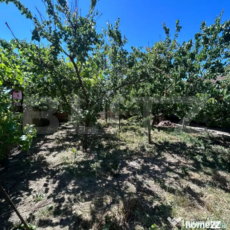 Casă individuală cu dormitor la parter, 160 mp utili, Moș - Mosnita Veche (Timis)