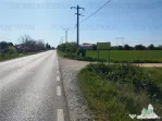 Teren intravilan - - Calarasi - Frumusani