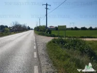 Teren intravilan - - Calarasi - Frumusani