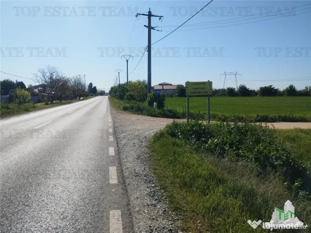 Teren intravilan - - Calarasi - Frumusani