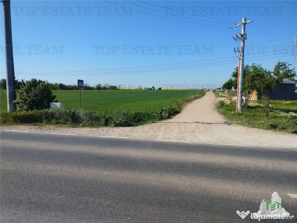 Teren intravilan - - Calarasi - Frumusani