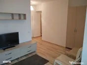 Muncii delea veche bloc nou budila 