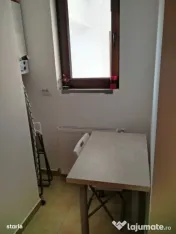 Muncii delea veche bloc nou budila 