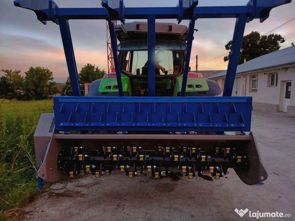 Curățare terenuri de vegetație, ambrozie, copaci și rădăcinile acestora