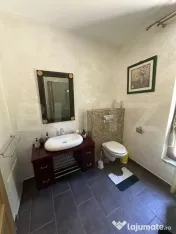 Cabana premium de vanzare Colibita, pe malul lacului 