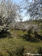 Casă de vânzare, 70 mp, zona Paingeni