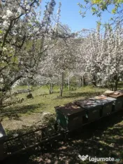Casă de vânzare, 70 mp, zona Paingeni
