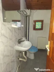 CASA/CABANA DE VANZARE IN ZONA LINISTITA DE MUNTE