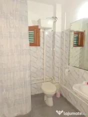 CASA/CABANA DE VANZARE IN ZONA LINISTITA DE MUNTE