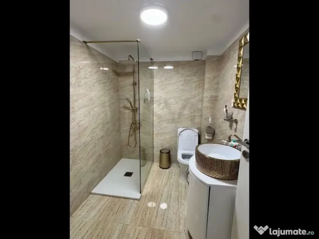 Vila Domenii l renovata 2020