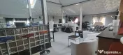 Vila superba 2012, P+1+M, 10+ camere, posibilitate business 