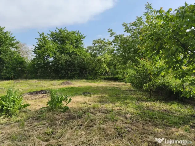 Teren PREMIUM Ready-To-Build Șerbănești