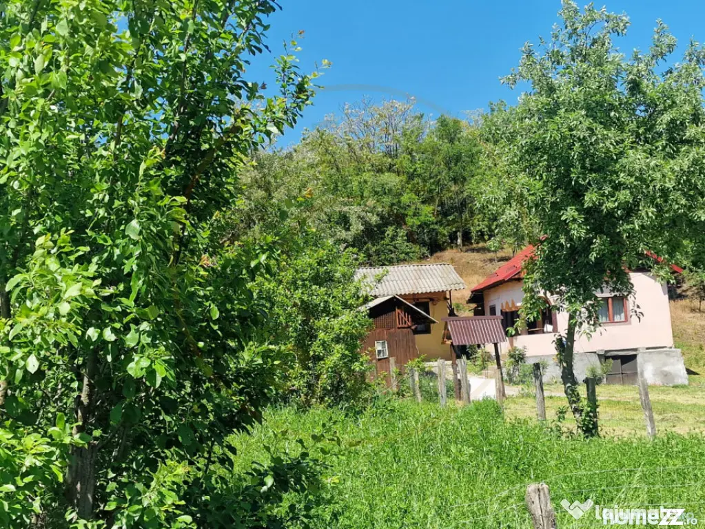 Proprietate în Comuna Botești, Județul Argeș – Zonă
