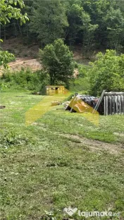 Teren intravilan 2.635 mp Savarsin ideal casa sau investitie 