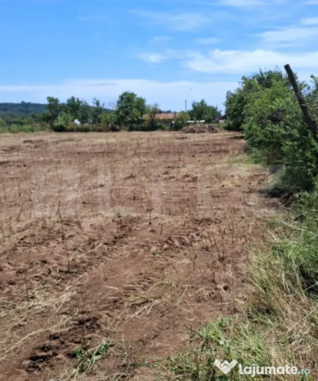 Teren intravilan 2.531 mp | Dublă deschidere la 2 străzi |