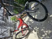 Bicicletă tineret 