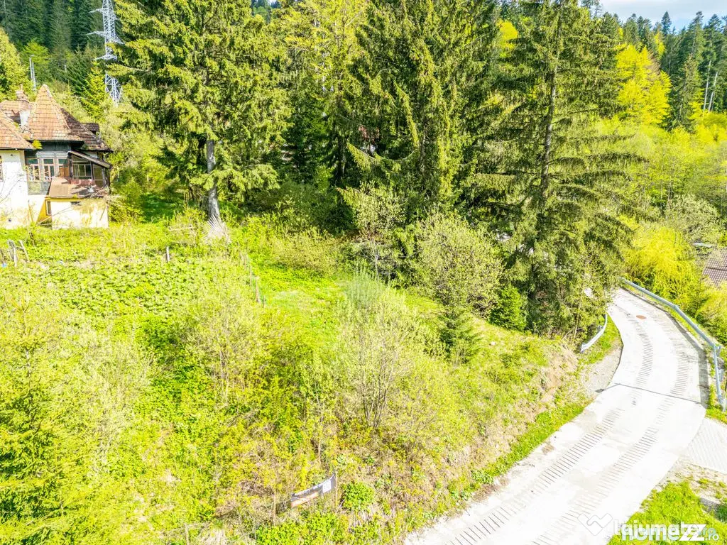 Teren Construibil 930 mp în Predeal – Lângă Pădure ... - Predeal (Brasov)