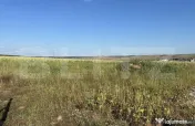 Teren intravilan, suprafata 11500 mp, zona Marghita 