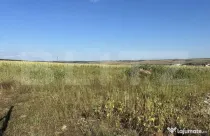 Teren intravilan, suprafata 11.500 mp, zona Marghita