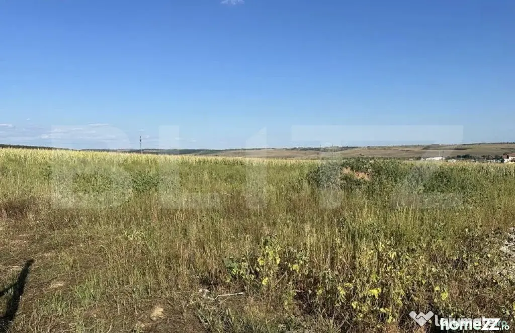 Teren intravilan, suprafata 11.500 mp, zona Marghita - Marghita (Bihor)