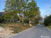 Teren cu autorizație , proiect și utilități trase, pr...
