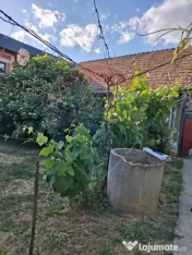 Casă de vânzare oras Sacueni, zona Centrala 