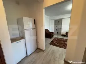 Apartament de inchiriat, 2 camere, 50 mp, Brazda lui Novac 
