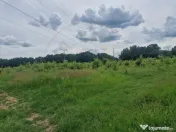 Teren extravilan Pitesti - str. Balotesi!! 