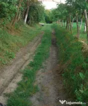 Teren extravilan Pitesti - str. Balotesi!! 